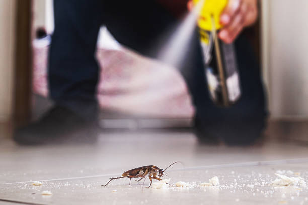 Best Best Pest Control Companies  in Cumberland, KY